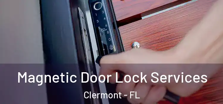 Magnetic Door Lock Services Clermont - FL